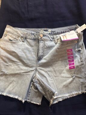 Seven7 Light Blue Distressed Denim Cutoff Shorts